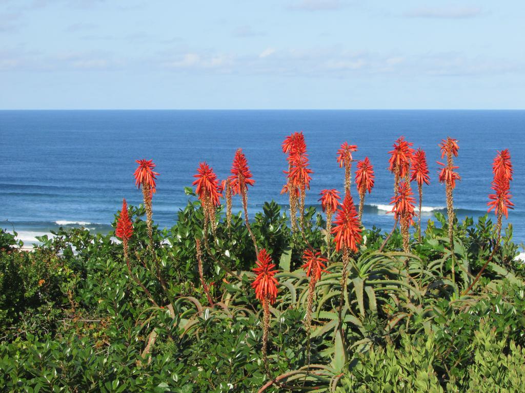 Melkhoutkloof Guest House Outeniqua Strand Bagian luar foto
